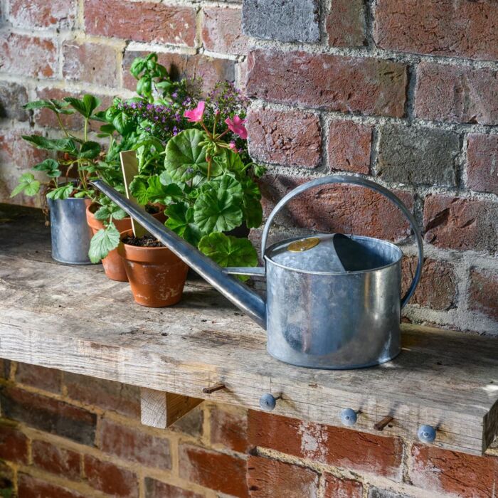 Burgon & Ball - Sophie Conran Greenhouse & Indoor Watering Can - Galvanized